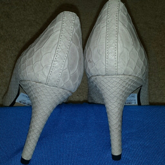 clarks dalhart sorbet